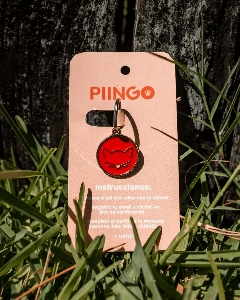 Placa Piingo